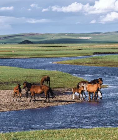 7D6N • China Inner Mongolia Hailar + Ergun Wetland Park + Heishantou Downtown + Manzhouli Guomen Scenic Area + Hulun Lake
