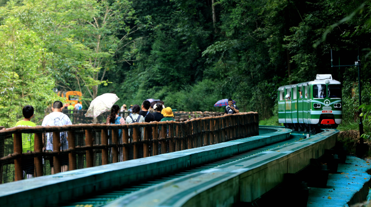 4-Day Scenic Zhangjiajie Group Tour·National Forest Peaks & Tianmen Skywalk