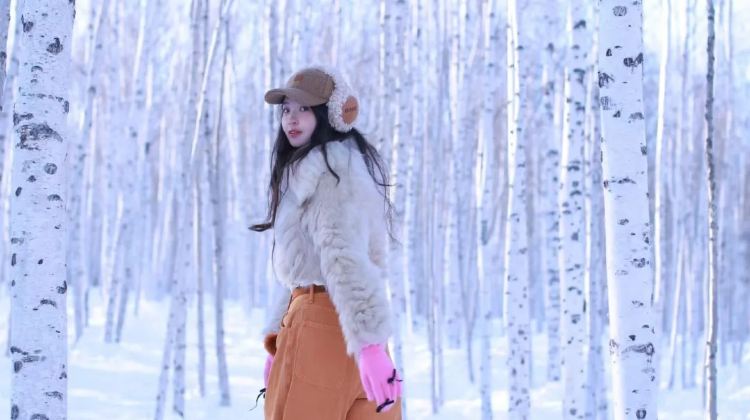 6-Day Harbin + Mohe + The First Bay of Longjiang + Arctic Village