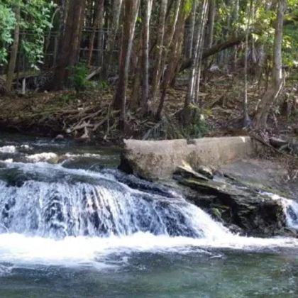 达尔文+达尔文军事博物馆+Lee Point Beach5日4晚拼小团