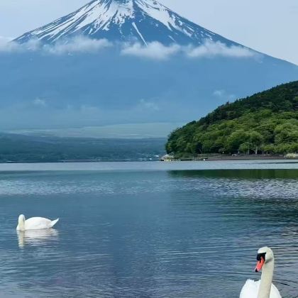 日本东京5日4晚私家团