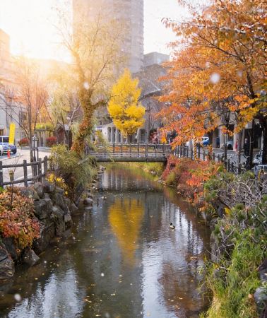 6天5晚 • 日本北海道登別+洞爺湖町+小樽+札幌+美瑛町+旭川