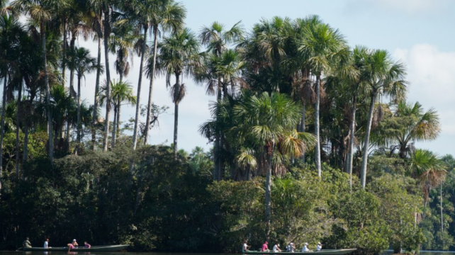 馬爾多納多港+2