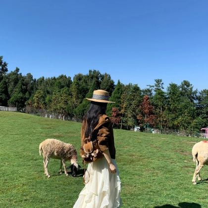 呼和浩特+辉腾锡勒草原+乌兰哈达火山地质公园+库布齐沙漠+哈素海+敕勒川草原4日3晚跟团游