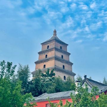 西安+秦岭+陕西历史博物馆秦汉馆+茂陵博物馆+佛坪熊猫谷旅游区2日1晚拼小团