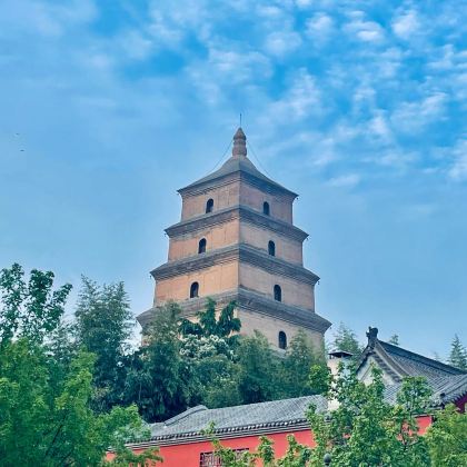 西安+秦岭+陕西历史博物馆秦汉馆+茂陵博物馆+佛坪熊猫谷旅游区2日1晚拼小团