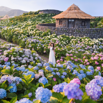 济州岛3日2晚私家团