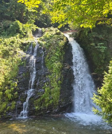 2日1晚 • 「湯泉私旅」仙台＋山形＋最上川泛舟＋銀山溫泉＋古寺祈福療癒之旅