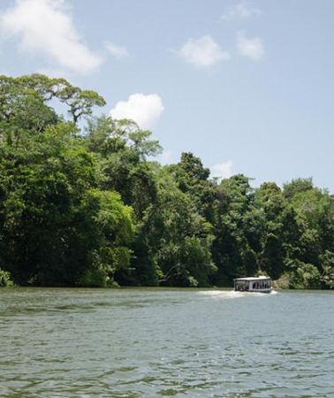 3D2N • 3-day Tortuguero Expedition