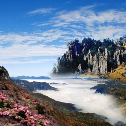 宜昌+神农架+武当山+恩施市9日8晚跟团游