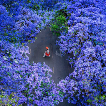 云南昆明+大理市+丽江+香格里拉+西双版纳10日9晚跟团游