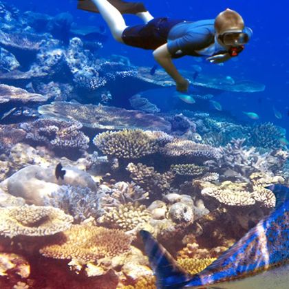 塞舌尔+留尼汪（法属）+马达加斯加+毛里求斯15日12晚拼小团