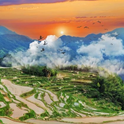 丽水+松阳+缙云+云和4日3晚拼小团