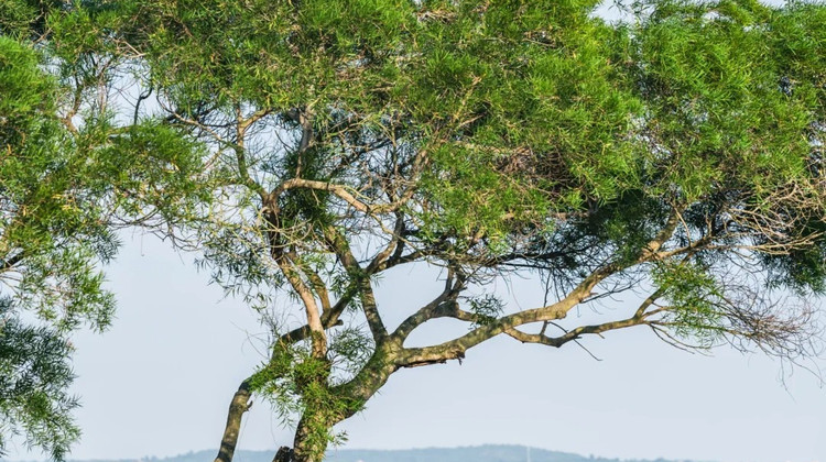 漳州旅行社周边短途旅行团权威榜单发布