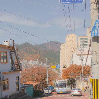 韩国全州市庆基殿7日6晚私家团