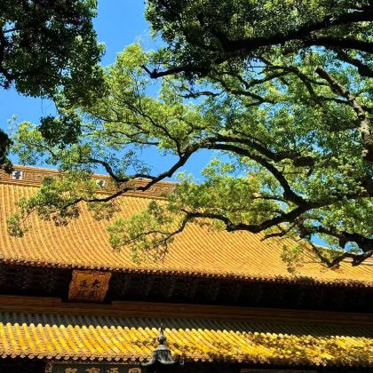 浙江普陀山2日1晚跟团游