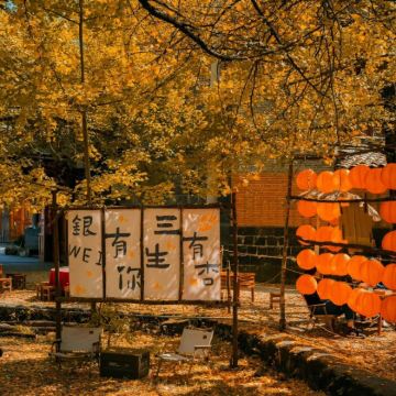 腾冲+老姆登+丙中洛+老姆登知子罗+火山地热国家地质公园9日8晚私家团