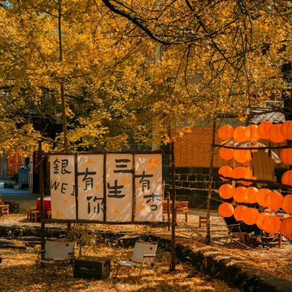 腾冲+老姆登+丙中洛+老姆登知子罗+火山地热国家地质公园9日8晚私家团