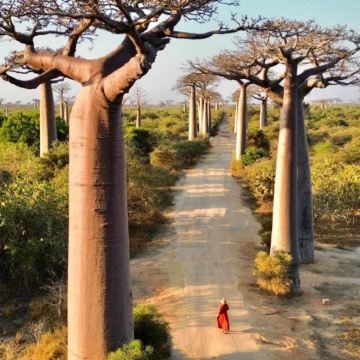 马达加斯加9日6晚私家团