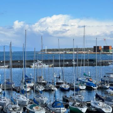 日本东京+静冈+伊豆7日6晚私家团