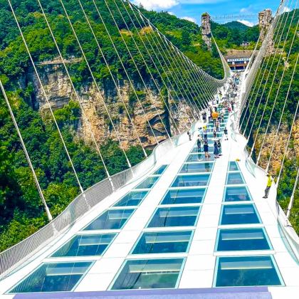 张家界+天门山+凤凰古城3日2晚跟团游