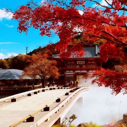 大阪+京都+岚山嵯峨野观光小火车+奈良+东京+河口湖+浅草寺+东京湾屋形船12日11晚拼小团