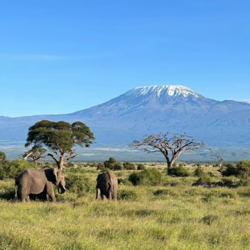 肯尼亚+坦桑尼亚12日9晚拼小团