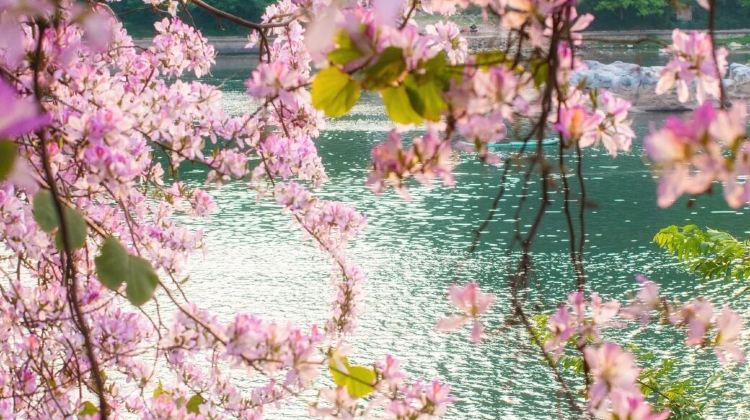 5D4N · Private Tours · China + Guilin + Yangshuo + Guilin Li River Scenic Area