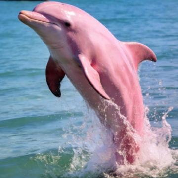 广西南宁+崇左+北海+涠洲岛8日7晚私家团