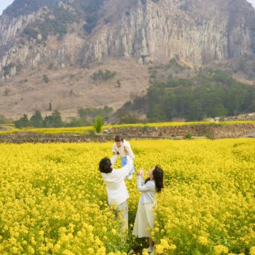 韩国济州特别自治道4日3晚自由行