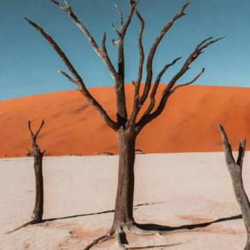 南非+纳米比亚+津巴布韦+好望角+维多利亚瀑布14日12晚私家团