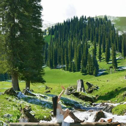 新疆乌鲁木齐+北疆8日7晚跟团游