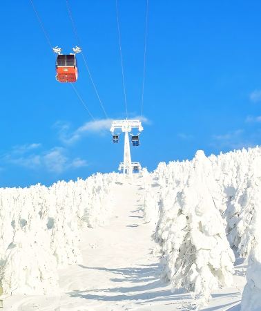 2天1晚 • 東北冬日仙境 銀山溫泉＋藏王樹冰＋狐狸村＋鬼平江戶處二日遊「神隱少女」同款湯屋溫泉飯店早晚餐｜東京出發 · 可加購藏王纜車票