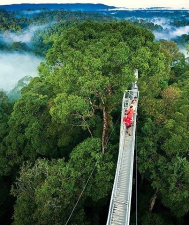 3D2N • 3-Day Arenal Volcano Hanging Bridges Hot Springs & Manuel Antonio