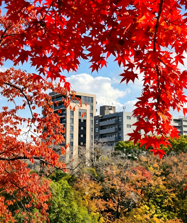 7日6晚 • 福岡+熊本縣+鹿兒島縣