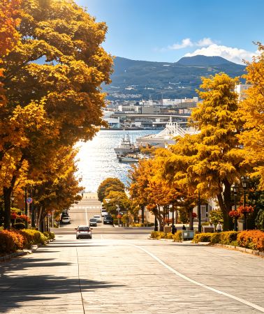 6日5晚 • 北海道~留壽都、道南 溫泉度假仲夏之旅 富良野~富田花園、美瑛~四季彩之丘(包乘坐四季彩Norocco號觀光車)、熊牧場、「日本三大夜景之一」函館山百萬夜景、積丹半島、黃金岬(乘坐水中展望船)