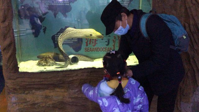 新乡市人民公园旅行图片 4