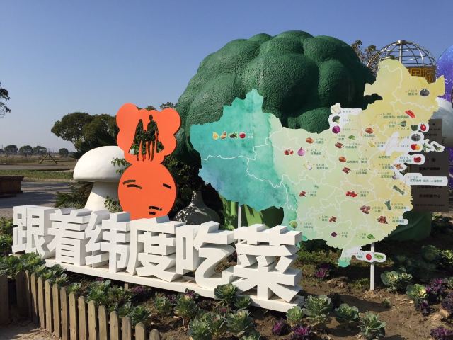 上海都市菜园旅行图片 4