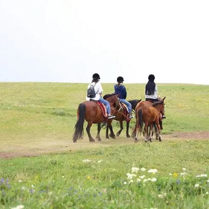 内蒙古希拉穆仁草原+辉腾锡勒草原+黄花沟草原旅游度假区2日1晚私家团