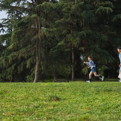 新疆乌鲁木齐+北疆+喀纳斯景区+赛里木湖10日9晚跟团游