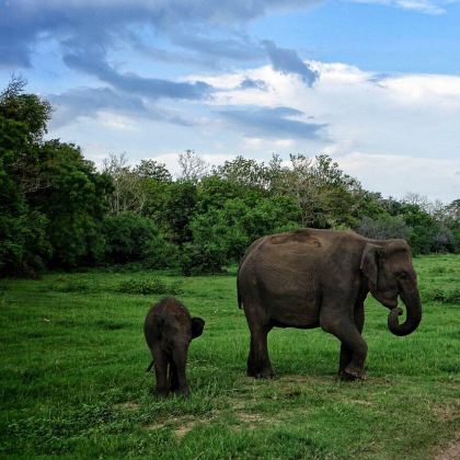 斯里兰卡加勒加勒古城6日5晚跟团游