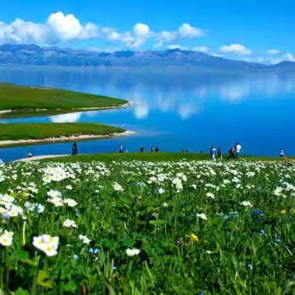 新疆北疆+伊犁+赛里木湖+巴音布鲁克草原8日7晚跟团游
