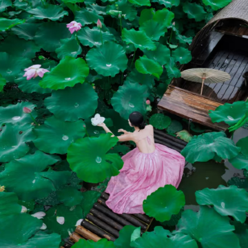 云南昆明+建水+元阳+碧色寨风景区+普者黑风景区+弥勒6日5晚私家团