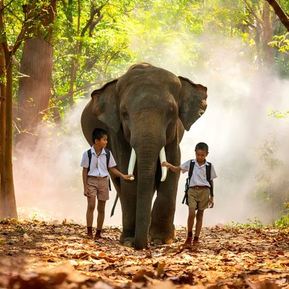 泰国曼谷+芭堤雅6日5晚拼小团