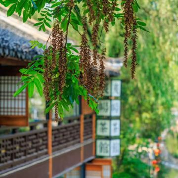 绍兴柯岩风景区+兰亭景区+鲁迅故里+沈园+仓桥直街2日1晚私家团