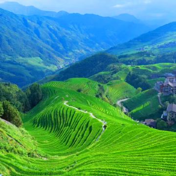 贵州黄果树景区+梵净山+镇远县+西江千户苗寨+荔波+广西桂林+阳朔+漓江11日10晚跟团游