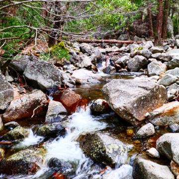 美国拉斯维加斯+旧金山+黄石国家公园14日11晚跟团游