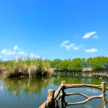 连云港海上云台山3日2晚自由行