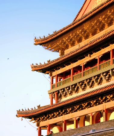 5D4N•Xi'an