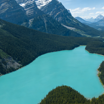 美国+加拿大+墨西哥29日跟团游